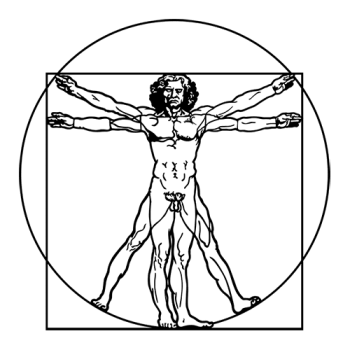 Canon de Vitruve