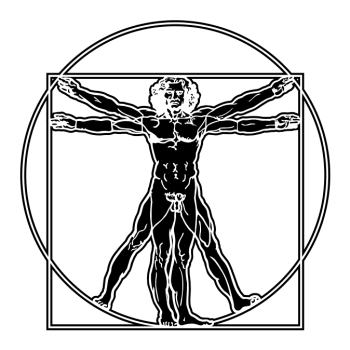 Canon de vitruve Négatif