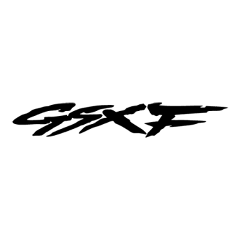 LOGO GSXF