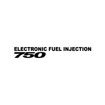 ELECTRONIC FUEL INJECTION