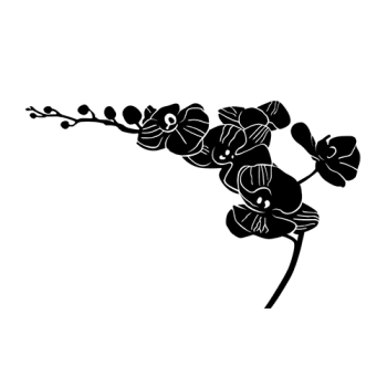 Orchidée