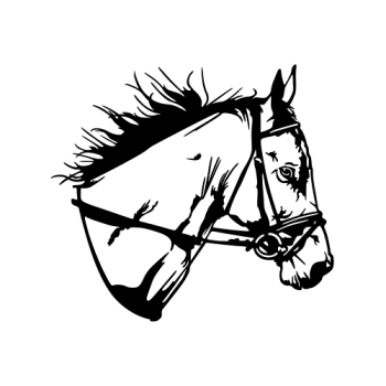 TETE DE CHEVAL 4