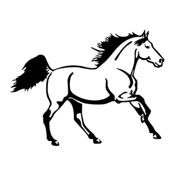 CHEVAL 11