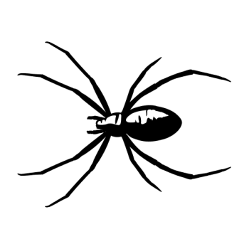 ARAIGNEE