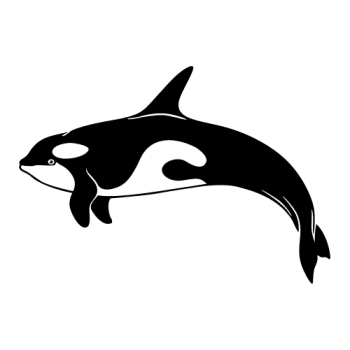 ORQUE