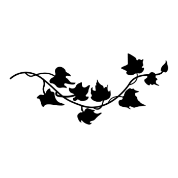 LIERRE SILHOUETTE