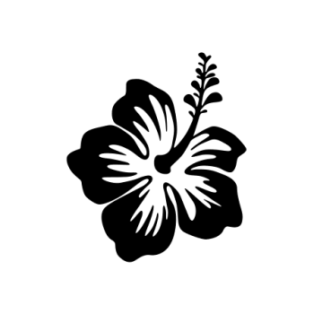 FLEUR HIBISCUS 5