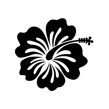 FLEUR HIBISCUS 7