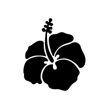 FLEUR HIBISCUS 9