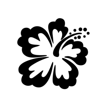 FLEUR HIBISCUS 13