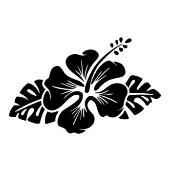 FLEUR HIBISCUS 21