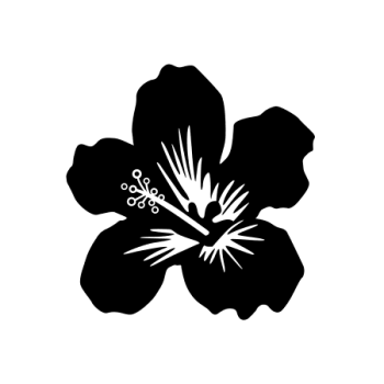 FLEUR HIBISCUS 22