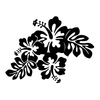 FLEUR HIBISCUS 25