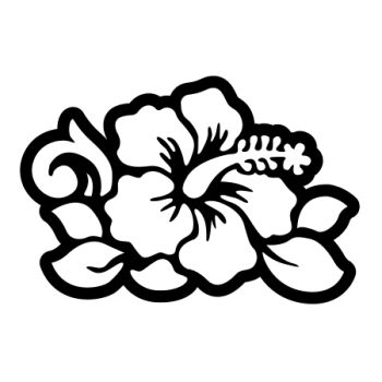FLEUR HIBISCUS 26
