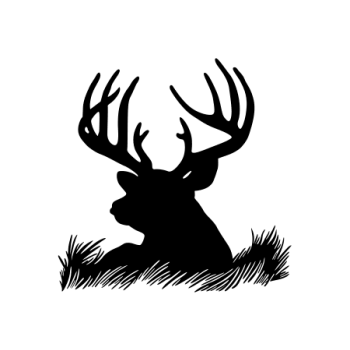 SILHOUETTE REINE 3