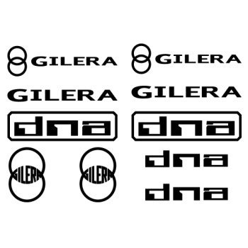 KIT GILRA DNA