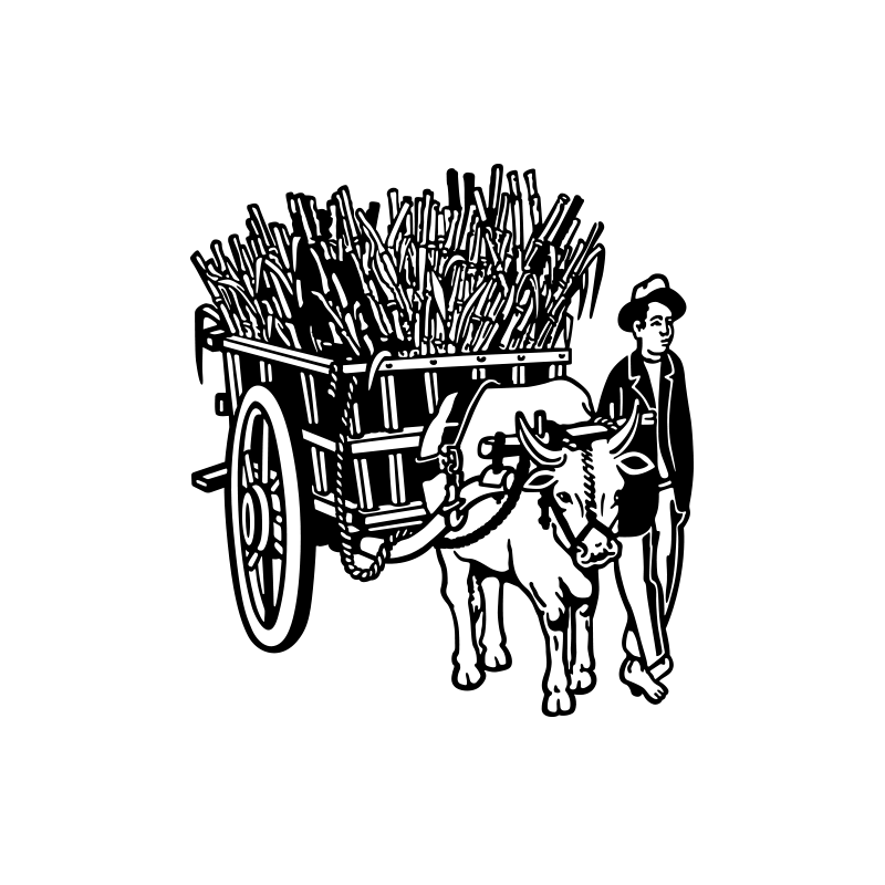 Charrette Boeuf Canne à Sucre